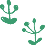 花のイラスト
